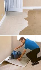 carpet water damage